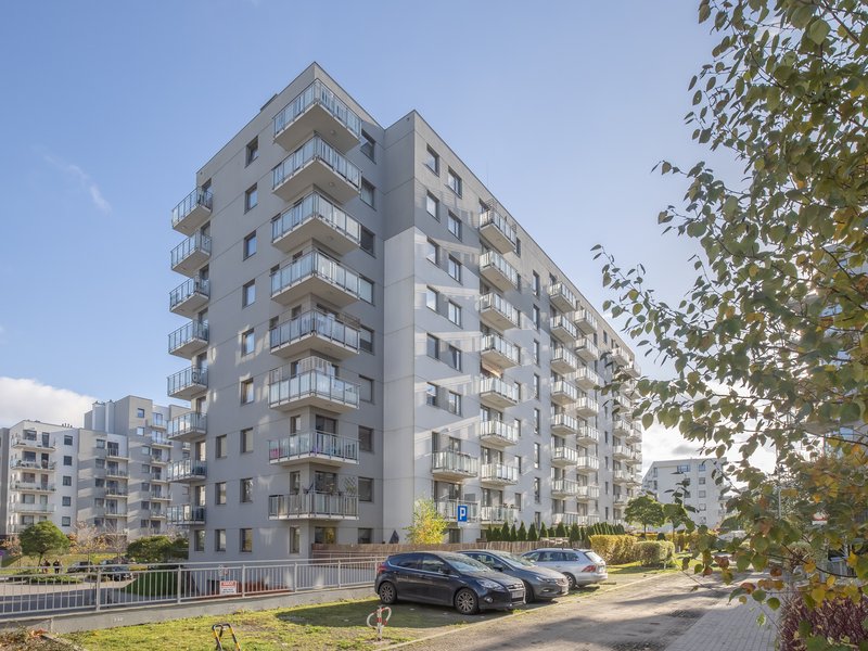 Morena - Klient znaleziony w tydzień